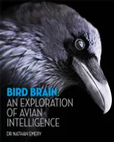 Bird Brain /anglais