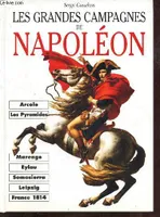 Les grandes campagnes de Napoléon, des campagnes d'Italie à la campagne de France