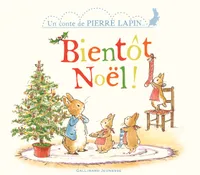 Un conte de Pierre Lapin, Bientôt Noël !, Un conte de Pierre Lapin