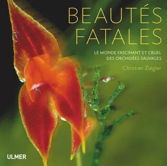Beautés fatales. Le monde fascinant et cruel des orchidées sauvages