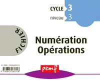 Fichier Numération Opérations CM1 NIVEAU 1 Fichier 7
