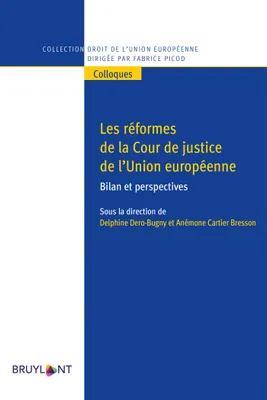 Les réformes de la Cour de justice de l'Union européenne, Bilan et perspectives