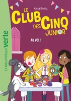 15, Le Club des Cinq Junior 15 - Au vol !, Le Club des Cinq Junior 15