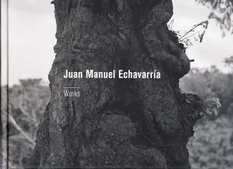 Juan Manuel Echavarría, Works