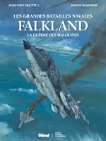 Falkland, La Guerre des Malouines