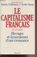 Le Capitalisme français (XIXe-XXe siècle), Blocages et dynamismes d'une croissance