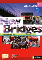 New bridges 1res / grand format 2011