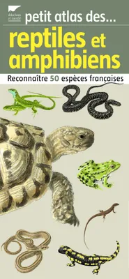 Petit atlas des reptiles et amphibiens / reconnaître 50 espèces françaises, reconnaître 50 espèces françaises