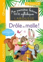Mes premières lectures 100 % syllabiques Larousse, Premières lectures Larousse 100 % syllabiques - Drôle de malle !