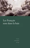 Les Français sont dans la baie, L'expédition en baie de Bantry, 1796