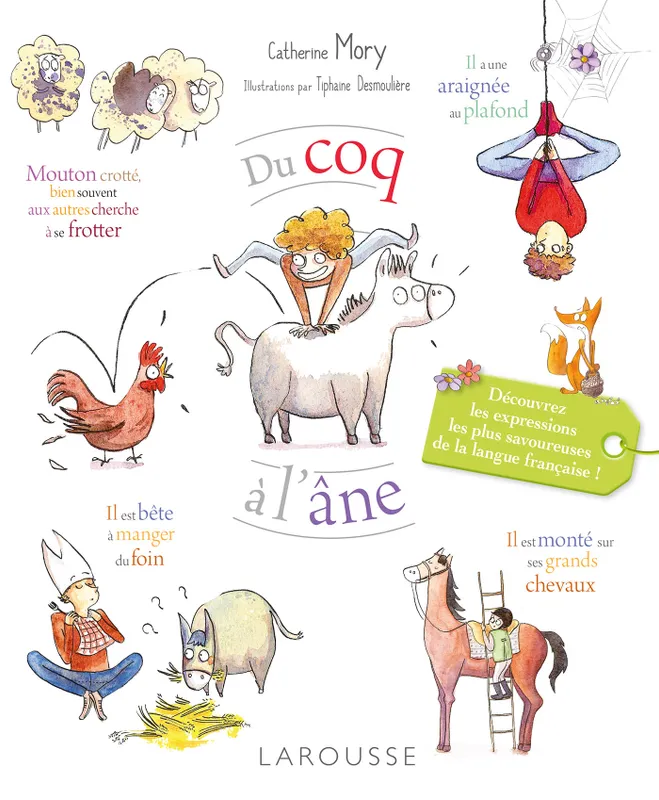 Livres Sciences Humaines et Sociales Actualités Du coq à l'âne - Les expressions les plus savoureuses de la langue française Catherine Mory
