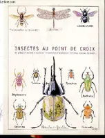 Insectes au point de croix