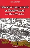 Calamités et maux naturels en Franche-Comté aux XIVe et XVe siècles, les Comtois à la merci de la nature, au fil des documents