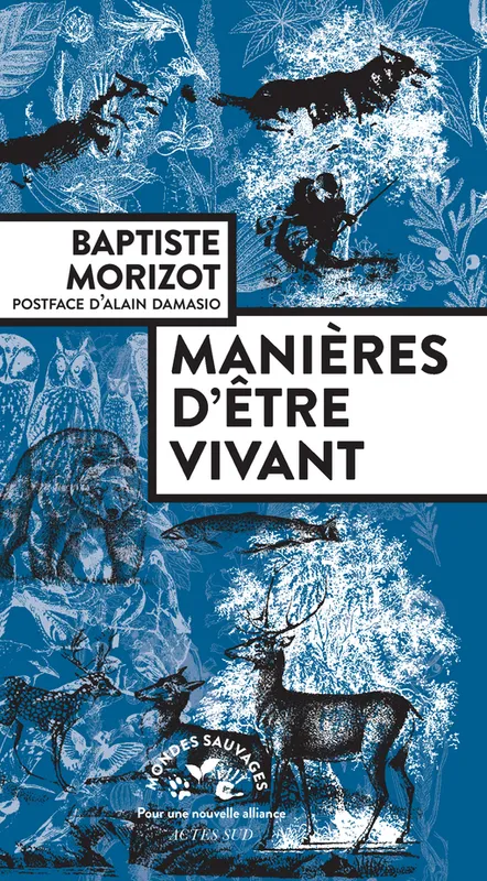Mondes Sauvages - Actes Sud, Manières d'être vivant, enquêtes sur la vie à travers nous Baptiste Morizot