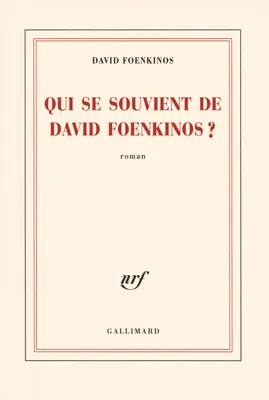 Qui se souvient de David Foenkinos ?, roman