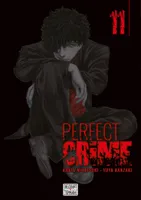 11, Perfect crime T11