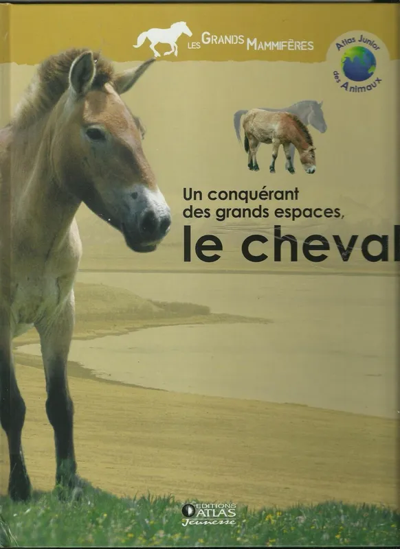 Un conquérant des grands espaces le cheval Élise Rousseau