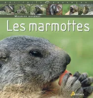 Les marmottes