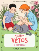 Mission Vétos, Le chat blessé