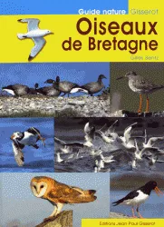 Oiseaux de Bretagne Gilles Bentz