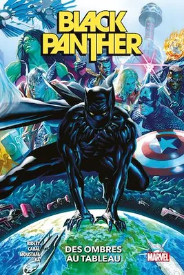 Black Panther (2021) T01, Des ombres au tableau