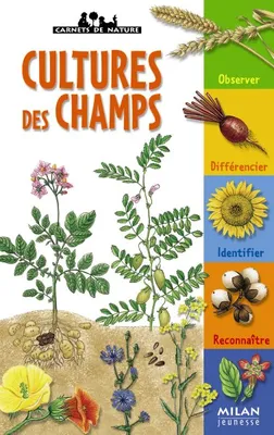 CULTURES DES CHAMPS (NE), plantes agricoles