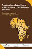 Problématiques Energétiques et Protection de l'Environnement en Afrique, Contraintes et Opportunités pour un Développement Durable