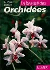 BEAUTE DES ORCHIDEES (LA)