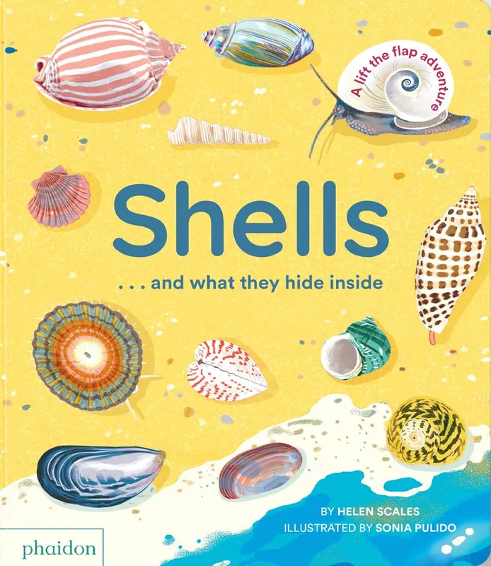 Jeux et Jouets Livres Livres en VO Livres en anglais SHELLS... AND WHAT THEY HIDE INSIDE Helen SCALES