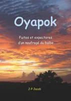 Oyapok, Fuites et expectores d'un naufragé du bulbe