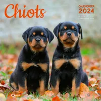 Calendrier Chiots 2024