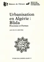 Urbanisation en Algérie : Blida, Processus et formes