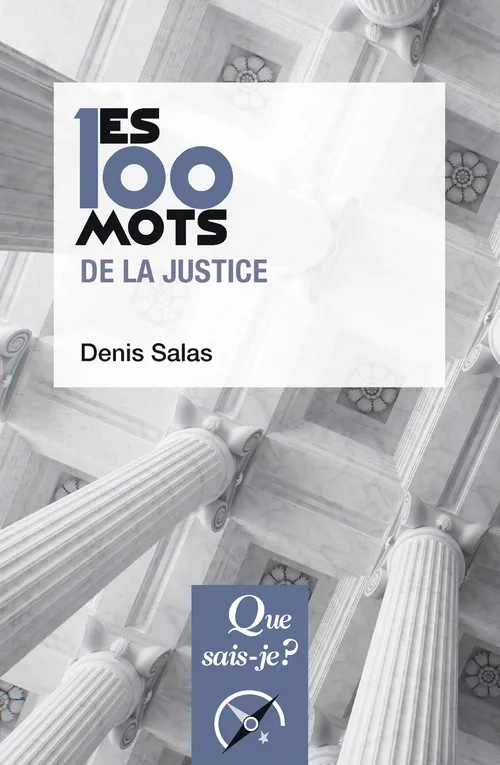 Livres Économie-Droit-Gestion Droit Généralités Les 100 mots de la justice Denis Salas