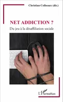 Net addiction ?, Du jeu à la désaffiliation sociale