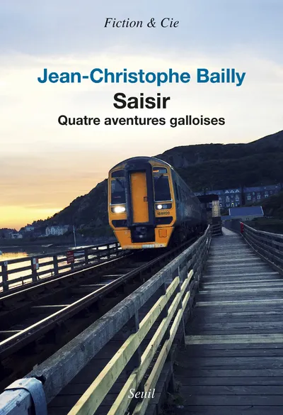 Livres Littérature et Essais littéraires Romans contemporains Francophones Saisir, Quatre aventures galloises Jean-Christophe Bailly