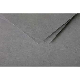 Paquet de 20 enveloppes Pollen 110x220mm 120g/m2 - Acier