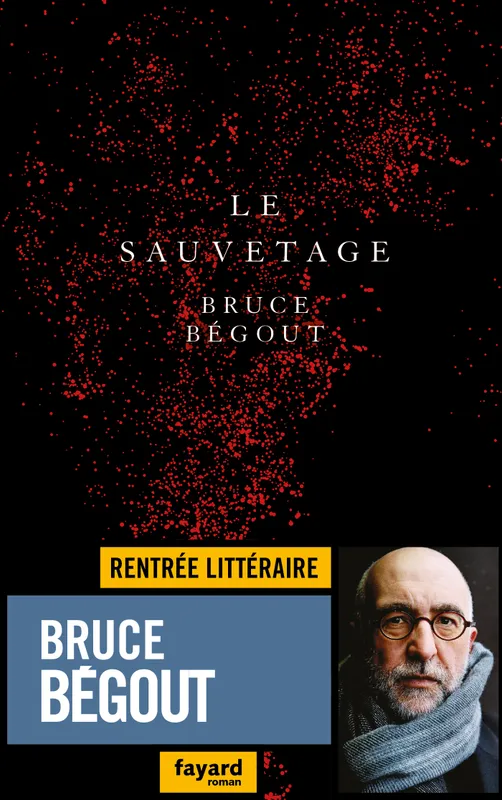 Livres Littérature et Essais littéraires Romans contemporains Francophones Le sauvetage Bruce Bégout