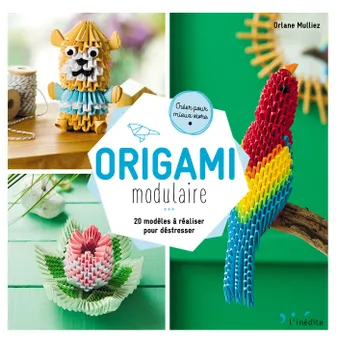 Origami modulaire, 20 modèles à réaliser pour déstresser