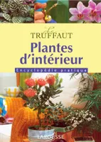 Plantes d'intérieur , le Truffaut