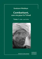 Combattant, une vie pour le Tchad, Tome 2