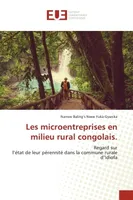 Les microentreprises en milieu rural congolais., Regard surl'état de leur pérennité dans la commune rurale d'Idiofa