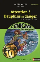 Enigme vacances : Attention !!! Dauphin en danger CE1/CE2