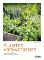 Plantes aromatiques - Comment les cultiver et les entretenir facilement