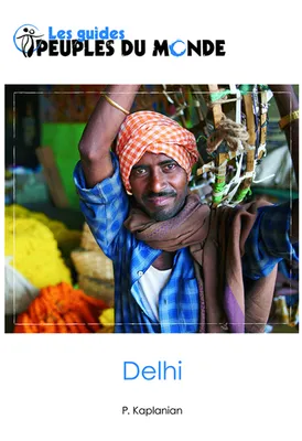 Delhi, Guide d'initiation à l'Inde