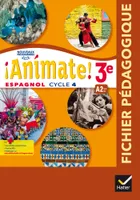 Animate - Espagnol 3e année LV2 Éd. 2017 - Livre du professeur