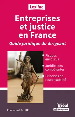 Entreprises et justice en France : Guide juridique du dirigeant
