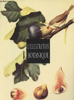 L'Illustration botanique