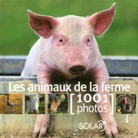 Les animaux de la ferme en 1001 photos
