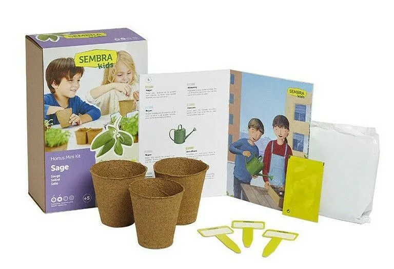 Mini kit plantation sauge Jardinage kids