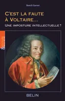 C'est la faute à  Voltaire..., Une imposture intellectuelle?